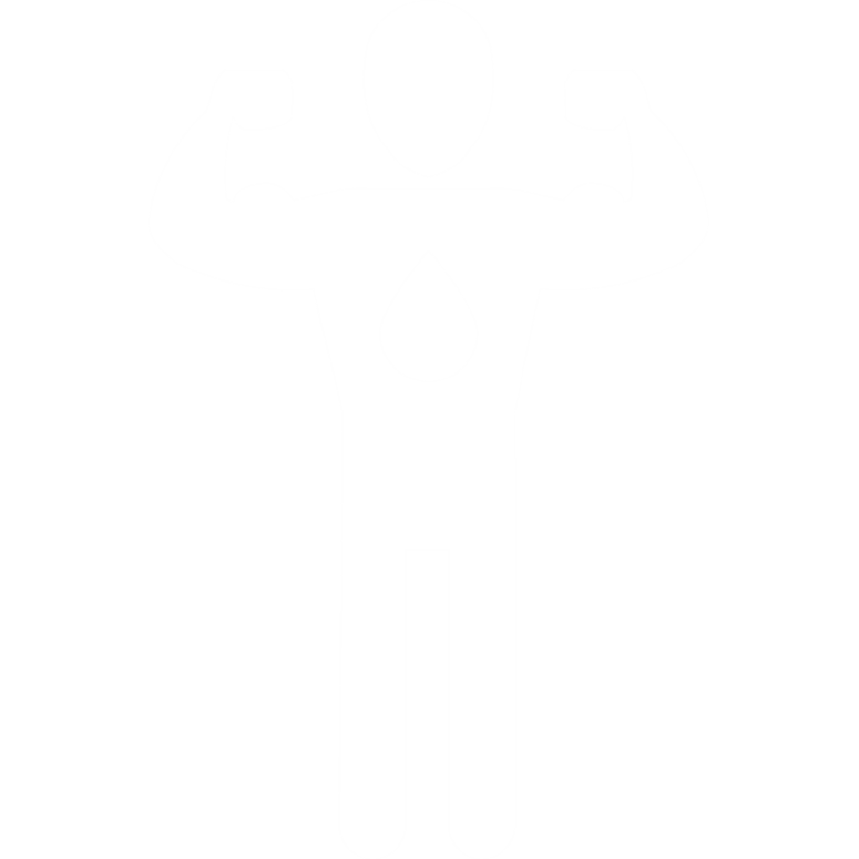 Longevity Technology